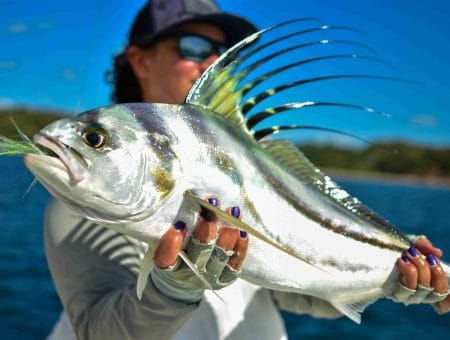 Happy angler holding a Roosterfish off the coast of Playa Potrero, Guanacaste, Costa Rica